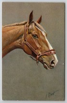 Horse Portrait Artist Signed J Rivst Beautiful Side Profile Art Postcard D25 - £7.97 GBP