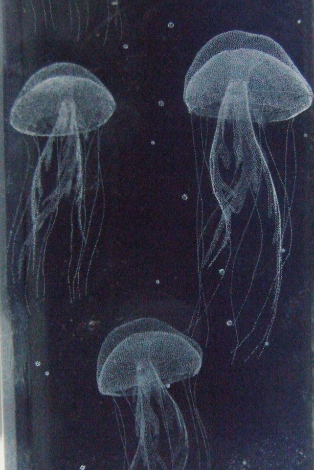 3D laser design of several "Jellyfish" in Lenic Crystal-
show original title
... Item image 5