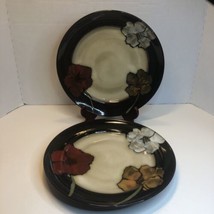 Pfaltzgraff Painted Poppies 2 Dinner Plates 11&quot; Brown Flowers - $19.79