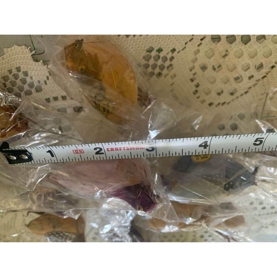Vintage feathered birds made in Hong Kong set of 12 - New Item image 5