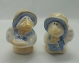 Vintage Ceramic Ducks With Bonnets Salt &amp; Pepper Shakers 3&quot; Tall - $6.78