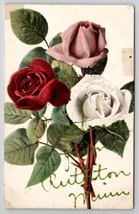 Roses Greetings From Ruthton MN To St Peter Minnesota Postcard N22 - £4.68 GBP