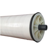 GE Osmonics Desal AG4040FM 2200 GPD RO Membrane Element Fiberglass - £372.65 GBP