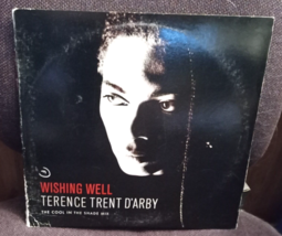 Terence Trent D&#39;arby Wishing Well The Cool In The Shade Mix Lp 44 07543 - £5.53 GBP