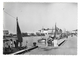 France Trouville Fishing Boats Harbor Port La Cigogne Postcard Glossy RPPC 4X6 - $6.69