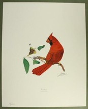 Vintage Art Print Signed LE 27/1000 JR Clark Male Cardinal Bird 16&quot; by 20&quot; - £45.39 GBP