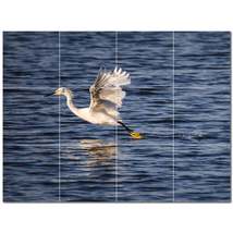 Bird Ceramic Tile Wall Mural Kitchen Backsplash Bathroom Shower P500153 - £93.97 GBP+