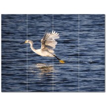 Bird Ceramic Tile Wall Mural Kitchen Backsplash Bathroom Shower P500153 - $120.00+