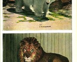Vtg Postcard Chicago Illinois IL Lincoln Park Zoo Polar Bear and Lion Mu... - $3.51