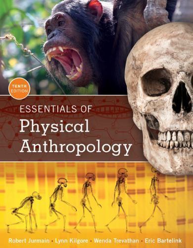 Essentials of Physical Anthropology 10e  Jurmain Kilgore Trevathan  [PAP... - $25.22