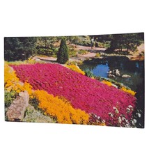 Postcard Bed Of Phlox In Rock Garden Royal Botanical Gardens Hamilton Ontario - £5.44 GBP
