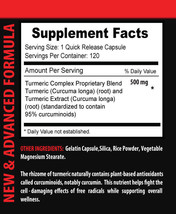 anti inflammatory powder - TURMERIC CURCUMIN COMPLEX 1 B - turmeric diet - $17.72