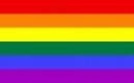 Gay Pride Rainbow Flag MASSIVE 8&#39;x5&#39; (2.4m long!) - £22.72 GBP