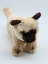SIAMESE CAT TOYS R US ANIMAL ALLEY Tan Brown Kitty 10&quot; Plush *CLEAN* - £12.67 GBP