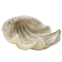 White Sea Shell Sculpture - £49.49 GBP