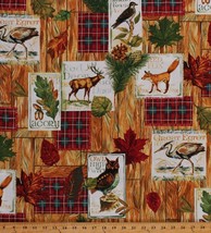 Cotton Animals Wildlife Owl Northwoods Nature Cabin Fabric Print BTY D685.43 - £9.16 GBP