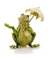 Keren Kopal Frog with umbrella Trinket Box Hand made with Austrian Crystal - $906.37 MXN