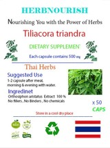 Tiliacora Triandra: Traditional Herb with Remarkable Health Benefits - $182.08 MXN