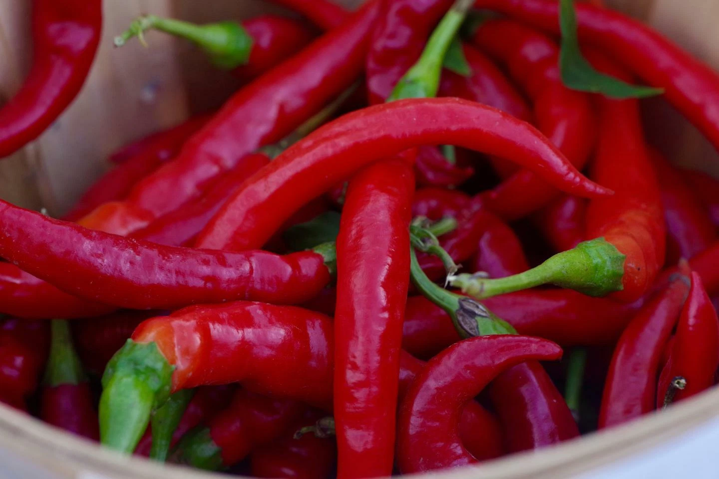 Must-Have 30 Long 8 Inch Red Thin Hot Pepper Chili Erjintiao Chinese Hot... - $3.28