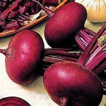 250 Piatta D&#39;Egitto Beet Italian Heirloom Beta Vulgaris Cicla Vegetable Seeds Fr - $8.35