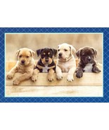 Blank Inside Greeting Card - 00924 - $51.41 MXN