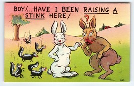 Boy Have I Been Raising A Stink Here Rabbits Skunks Linen Comical Postcard - $10.80