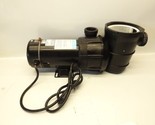 1.5 HP Dual Speed Swimming Pool Pump Above Ground Spa 1.5 in. NPT Fittin... - $125.73