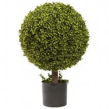 27 Inch Boxwood Ball Topiary - £125.92 GBP