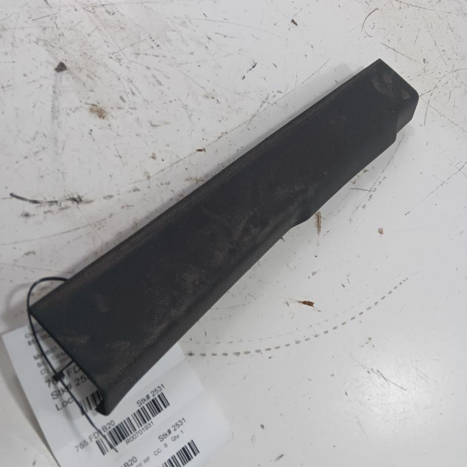 Ford Ecosport Sill Trim Plate Door Jam Threshold Right Passenger Front 2... - $37.89