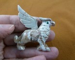 (Y-GRI-6) gray Griffin eagle lion mystic fantasy gem Gemstone carving SO... - $13.09