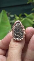 Electroformed  Copper  Turritella agate ring - $29.98