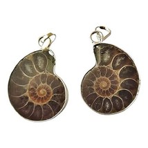 Set of 2 Natural Ammonite Pendant for Men and Women ( Pack of 2) - £58.50 GBP