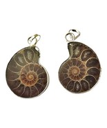 Set of 2 Natural Ammonite Pendant for Men and Women ( Pack of 2) - £58.75 GBP