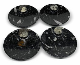 800g, 4pcs, 4.4&quot; Small Black Fossils Ammonite Orthoceras Bowl Round Ring,B8837 - £47.95 GBP