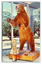 Kodiak Bear Museum of Science Miami Florida FL UNP Chrome Postcard S7 - £3.90 GBP