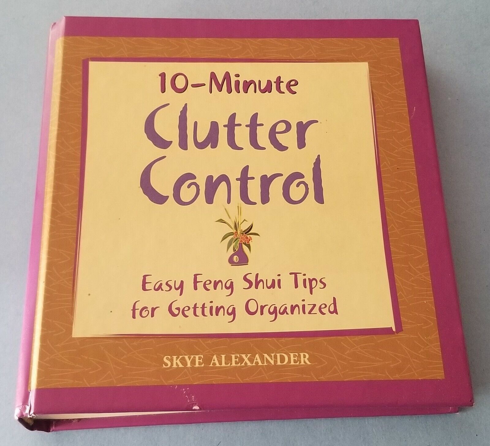 10-Minute Clutter Control (Easy Tips for Getting Organized) by Skye Alex... - $3.95