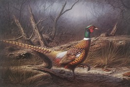 Ring-Necked Pheasant - Signed and Numbered Limited Edition Print by Dennis Schmi - £79.93 GBP