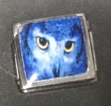 Close up Owl face Wholesale Italian Charm Enamel 9mm Link K35 style OWL - £11.88 GBP