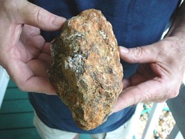 (DF843-101) Fossil REAL DINOSAUR POOP Coprolite scat Dino Valley Utah DU... - £47.79 GBP