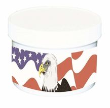 Stay Dry Hearing Aid Dehumidifier - Patriotic - $23.51