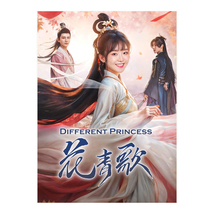 Different Princess (2014) Chinese Drama - $69.00