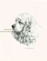#124 GOLDEN COCKER SPANIEL dog art print * Pen and ink drawing * Jan Jel... - $12.50