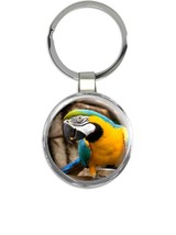 Macaw : Gift Keychain Bird Parrot Nature Tropical Brazil Costa Rica Florida - £6.28 GBP