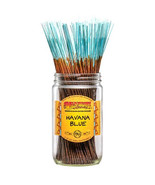 Havana Blue Incense Sticks (Pack of 100) - £23.59 GBP