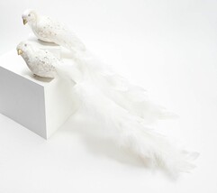 Simply Stunning Set of 2 Feathered Bird Clips by Janine Graff in White - £34.80 GBP