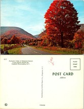 New York(NY) Catskill Mountains Westkill Notch Route 42 Autumn Fall VTG Postcard - £7.51 GBP