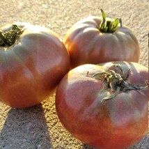 US Seller Carbon Tomato Seeds - £8.82 GBP