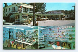 Dodson&#39;s Shell &amp; Gift Shop  St Petersburg Florida FL  UNP Chrome Postcard P2 - £1.38 GBP