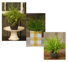 11&quot; Artificial Fern Plant Greenery Spiky Plant w Root Ball Floral Home Decor New - £17.50 GBP