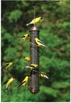 Bird Feeder Hanging Thistle Seed Feeder Tube Type Feeder Copper - £36.49 GBP